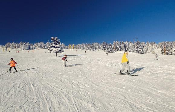 Alkoclar Chalet Hotel บูร์ซา ภายนอก รูปภาพ